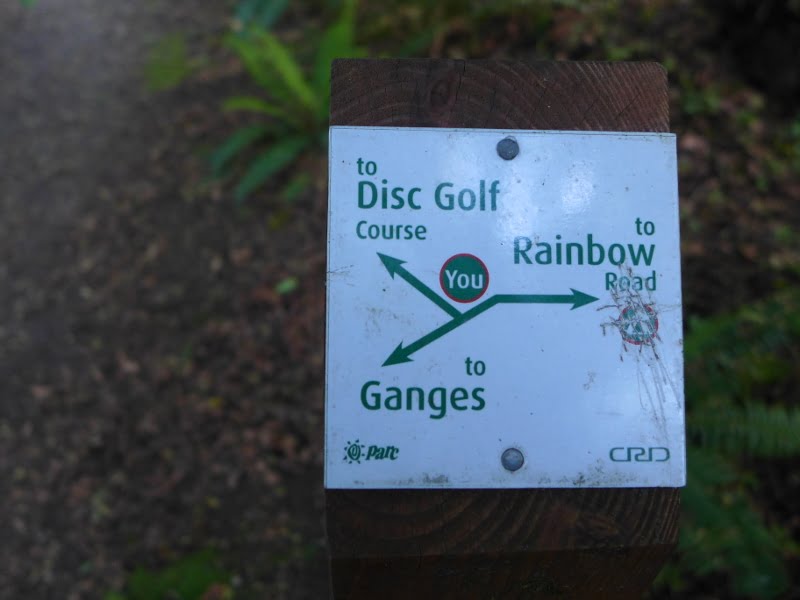 mini map to guide the way
