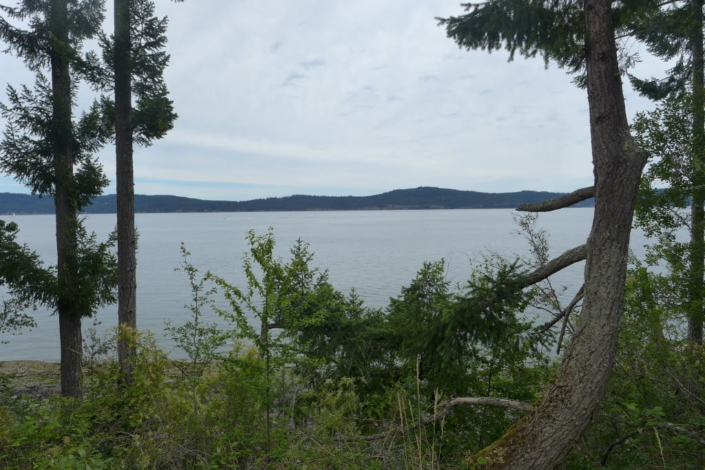 P1080768