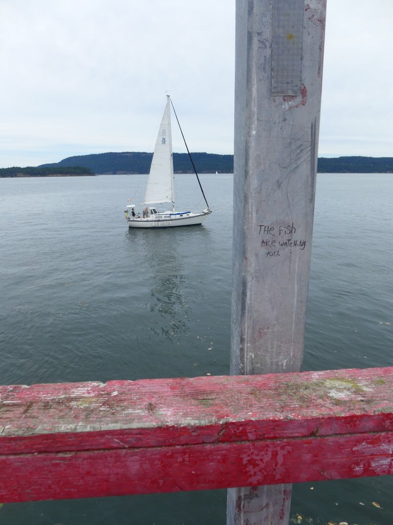 P1080806