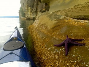 Kayaking among the cliffs and sea stars