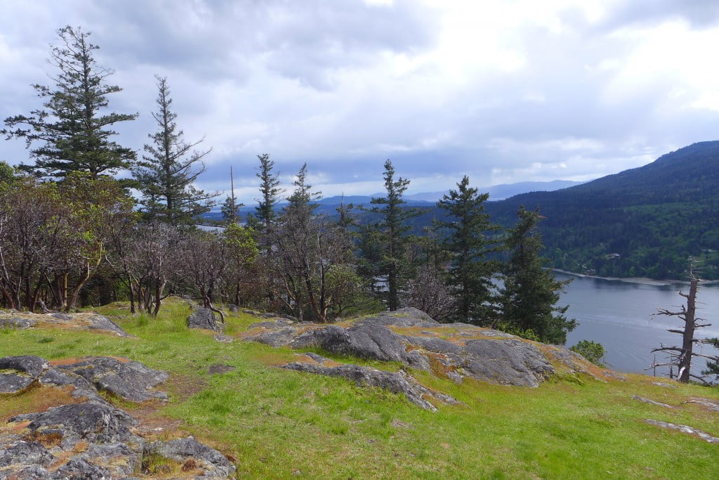 Garry Oak Meadow at the top
