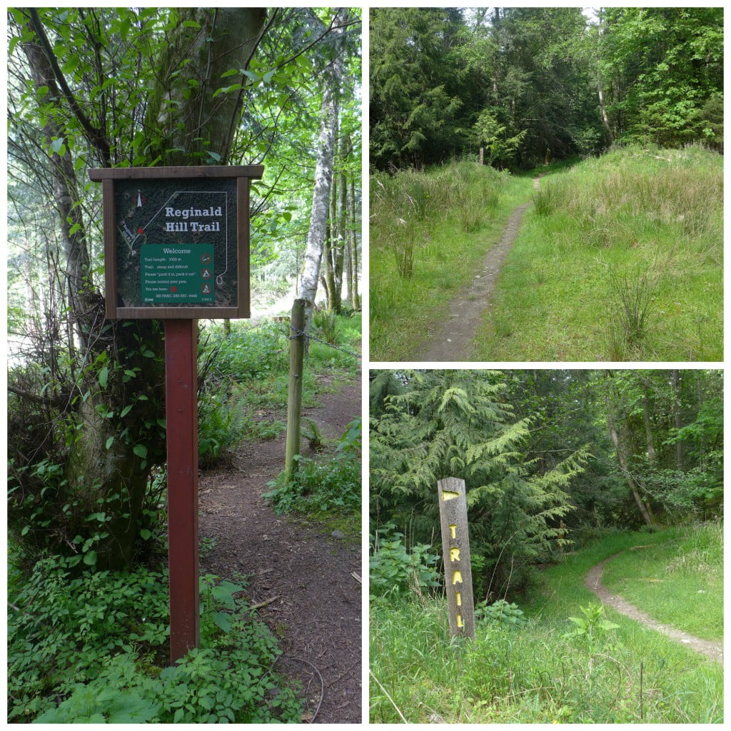Entering the hike