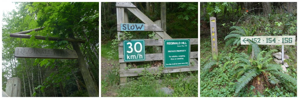 Signs marking the way