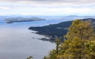 Mount Erskine Provincial Park: A Journey Through B.C.’s Great Outdoors