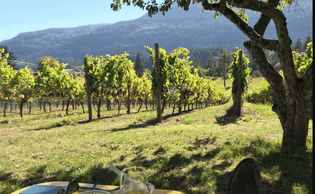 The Art of Winemaking at Garry Oaks Winery
