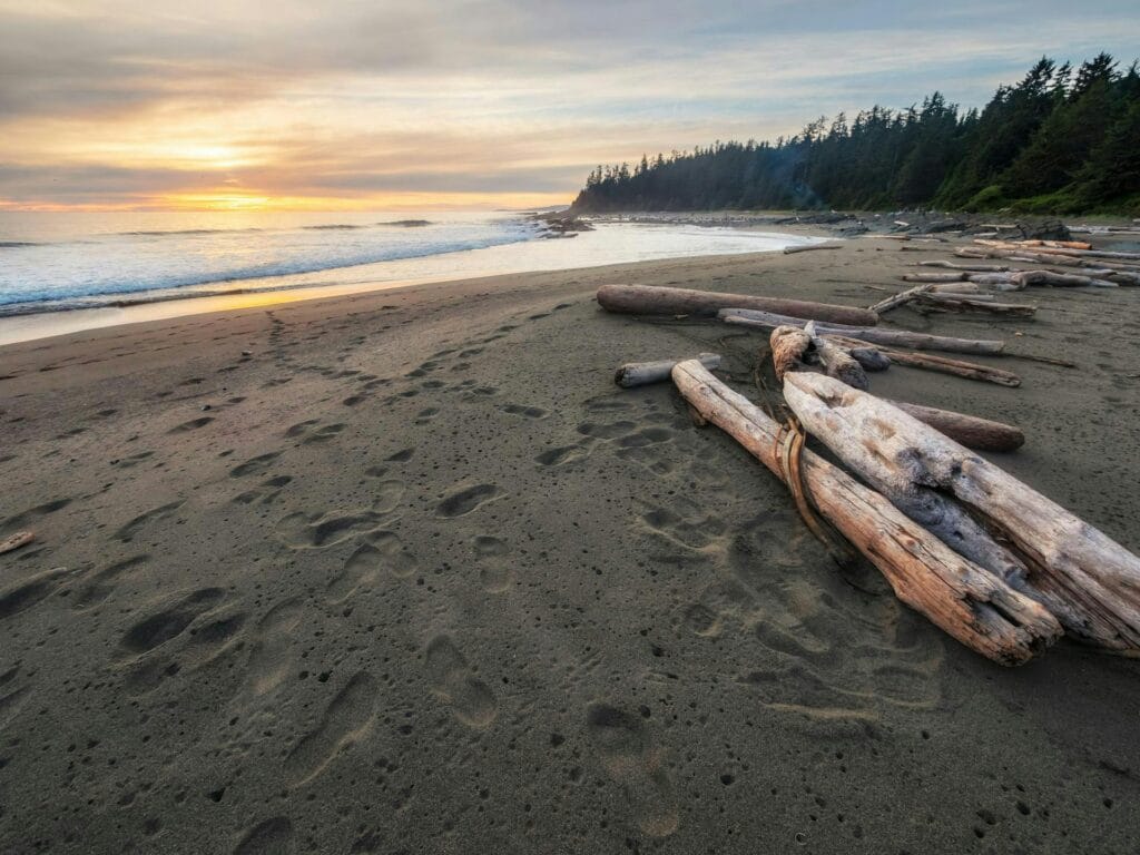 7 Best Beaches on Salt Spring Island: Local Favorites
