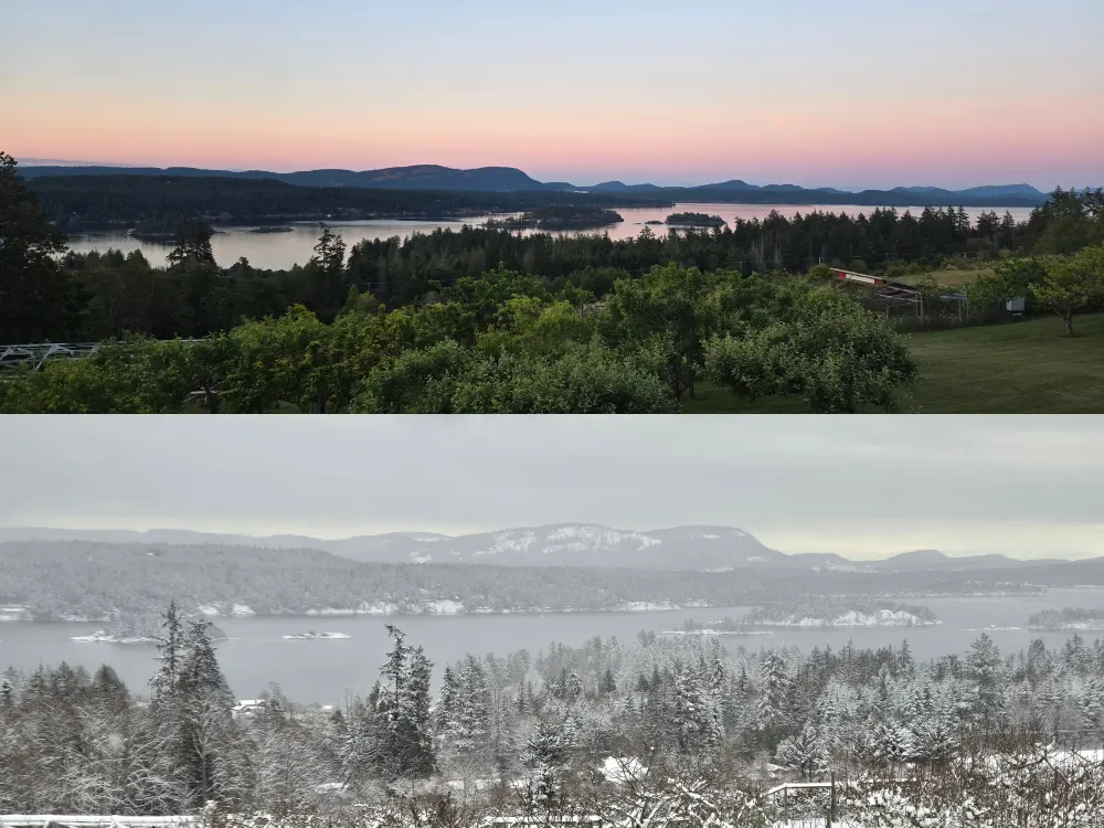 Winter vs Summer on Salt Spring Island: Best Time to Visit