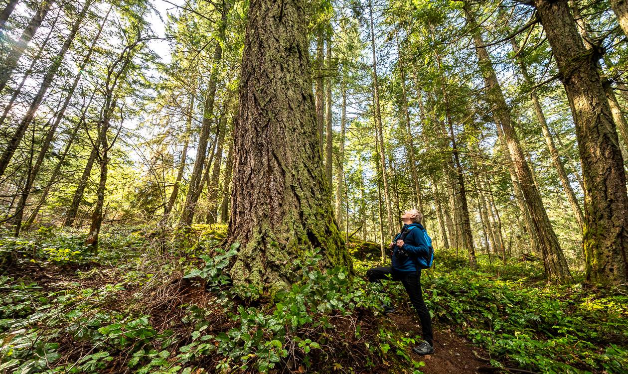 Hidden Hiking Trails