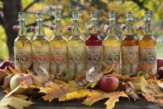 Salt Spring Wild Cider
